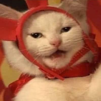 claux89's profile picture. Karma is a cat, Don’t f with cats 😼