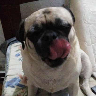 manuxeon's profile picture. 