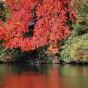 Peggy Wagner - @ofthehillofdh - Twitter