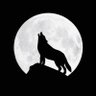 Night_howler89's profile picture. :)