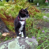 Lizzy OBrien (@lizbe51117408) 's Twitter Profile