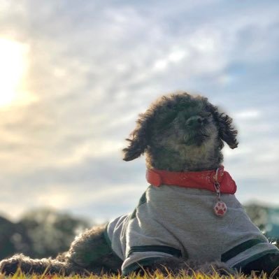 na_kundayo's profile picture. 