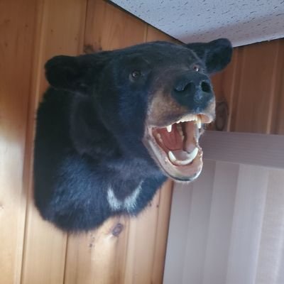 NKjoberg's profile picture. 