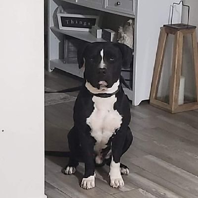 am_bv07's profile picture. No stress