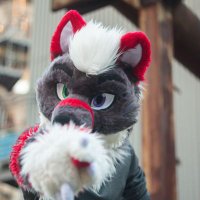 Racso_wolf (@racsotwolff) 's Twitter Profile