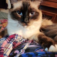 💙💜 Katie o 💜💙 (@kathysuzie) 's Twitter Profile Photo 💙💜 Katie o 💜💙 (@kathysuzie) 's Twitter Profile Photo