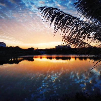 webpass3's profile picture. 知我者谓我心忧，不知我者管他何求