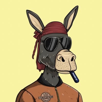_seeeeph's profile picture. @switchboardxyz