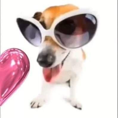 ducaralh00's profile picture. happy, free, confused and lonely at the same time.