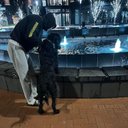 Jayden Dawson - @Jaydawzz - Twitter