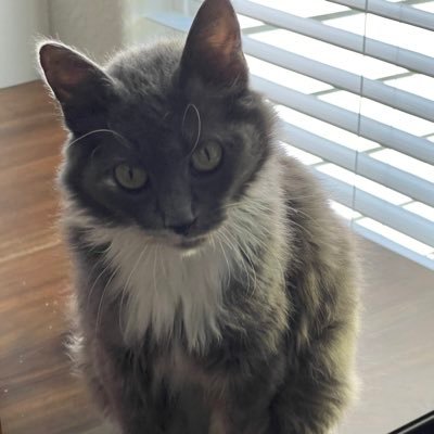 AaronRuther's profile picture. All types of ill shi!.