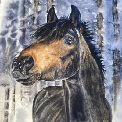 Award winning equine artist. Watercolor, Salish Canoes, horses, landscapes, pets, commissions. Facilitator of creativity. Not a cult member. 🌈 Ally.
