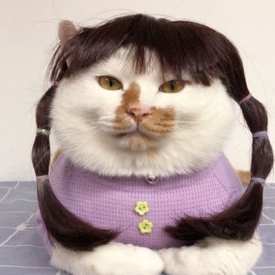 Sabrina Loyolaさんのプロフィール画像