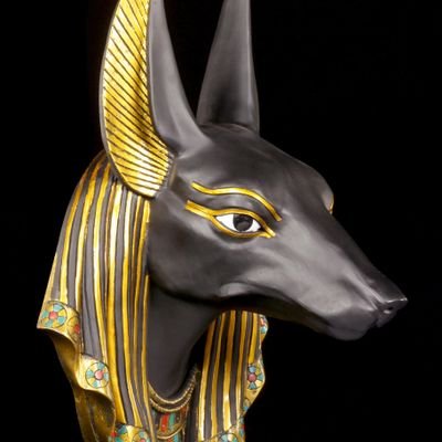 rochash2's profile picture. Uninteresting know-nothing who likes humans and takes life 1 day at a time. [I indentify as a trigger, you've been warned]