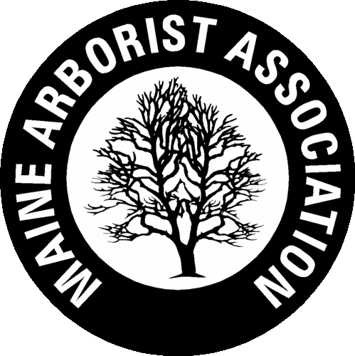 The Maine Arborist Association (MAA) is a non-profit membership association that creates safety & educational programs and helps to develop tree care practice &