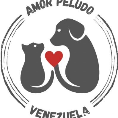 amorpeludovzla Profile Picture