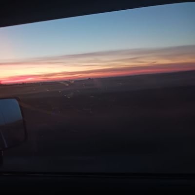 gearduck2's profile picture. 