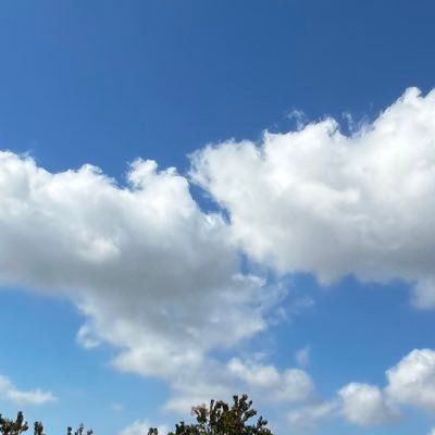 TSkates07's profile picture. 