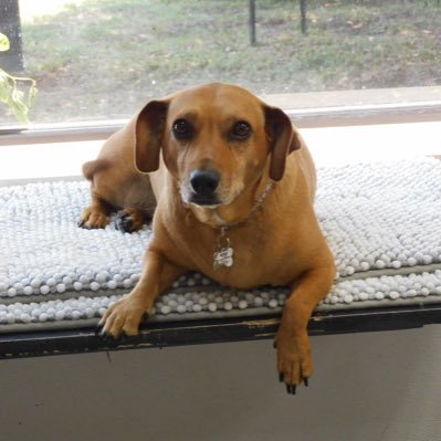 mcelreath1974's profile picture. Husband, Dad, Grandad to very special people. I believe in the principal of JOY, with Jesus first in my life.