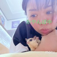 𓄛mimico𓄛動物とバイクと時々ジムニー~ (@h_mimico_y) Twitter profile photo