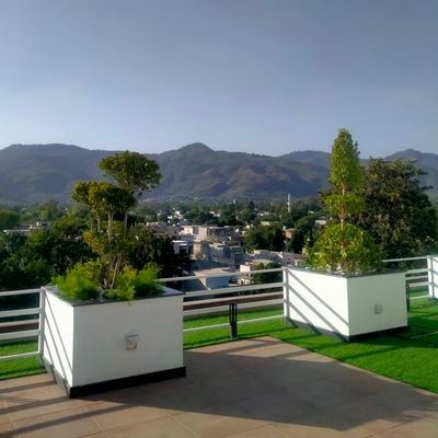 AmanShar22's profile picture. good