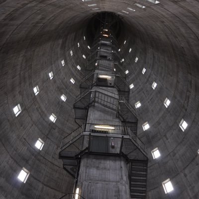 lustcouncil's profile picture. never kill yourself