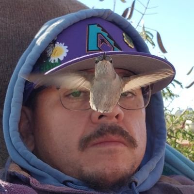 PaulyCasillas Profile Picture