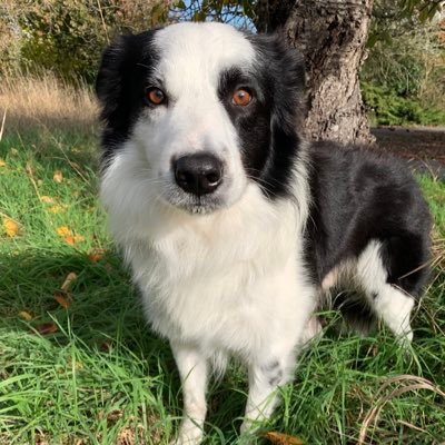JustinK65839927's profile picture. I’m an American male  proud of my Country. I can discuss any topic but with mutual respect. If you don’t do that I will mute you and I move on.