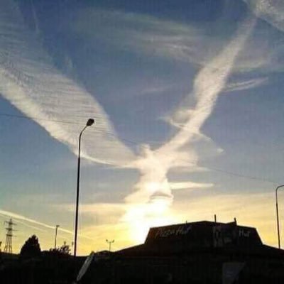 mineut5575's profile picture. QKfan/ゆるゲーマー/時々海外サッカー(RM)/鳥派