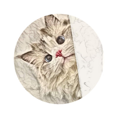 🇲🇨 #NGC_member Pecinta Kucing 🐈 My acc @nuzulidahlia has been suspended and this is my only account 🙏 FREE TAG SEPUASNYA