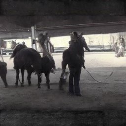 EricaJo18911563's profile picture. 