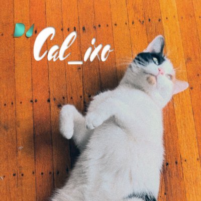 cal_ixo's profile picture. Artist Producer Designer