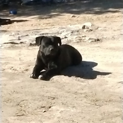 KizerKizer5's profile picture. 