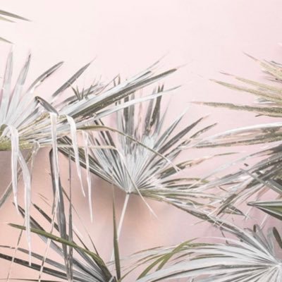 2meowmeow9's profile picture. 日本の政治、英語教育、資産形成に興味あり