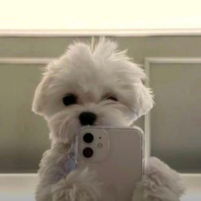 asstreae's profile picture. just my other random side