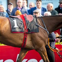 Race & Stay (@raceandstay) 's Twitter Profile