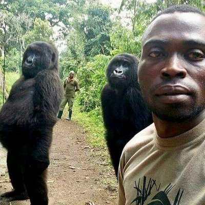 Reveniam1's profile picture. The Chilean who likes to see mad shit go down on this deteriorating platform.

That link sends you to a meme, dont get it twisted