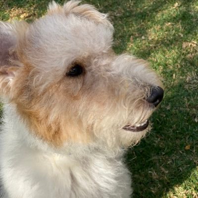 kimbeverley16's profile picture. 