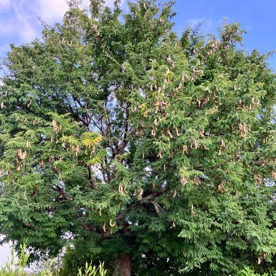 MithunCR2's profile picture. 