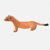Common Weasel(@commonweasel) 's Twitter Profile Photo