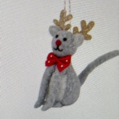 busierliving's profile picture. 