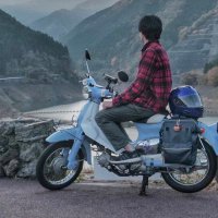 yu76@LittleCub (@yusei76cub) Twitter profile photo