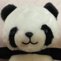 MIYU (@miyu_guitar_33) Twitter profile photo