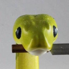 snwlooner Profile