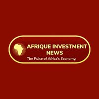 Afrique Investment News(@AfriqueInvestm1) 's Twitter Profile Photo