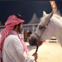 Alshamik-511 (@alshamikh511) 's Twitter Profile