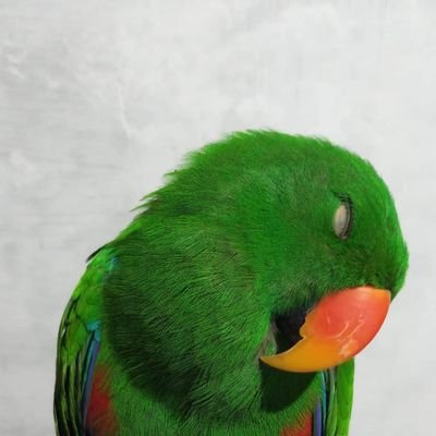 fiiiiiirs's profile picture. 