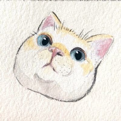 我が家の猫ちゃん達はみんな保護猫です(ノン・麦ワラ推定9歳♀️フク・黒8歳♂️サチ・キジトラ8歳♀️ゼン♂️笹かま4歳)無言フォロー失礼します。無言フォローOK。失礼があったらすみません。ゲーム関連は無知YouTube勧誘DMご遠慮ください。持病の耳鳴り、腰椎間板ヘルニアもつぶやきます。
#保護猫#猫#雑種猫