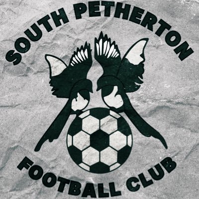 South Petherton FC Profile