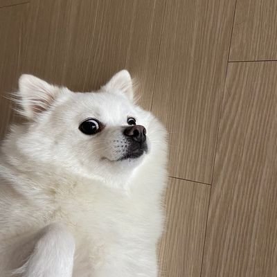nodealerさんのプロフィール画像